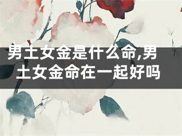 男土女金是什么命,男土女金命在一起好吗