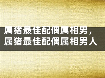 属猪最佳配偶属相男，属猪最佳配偶属相男人
