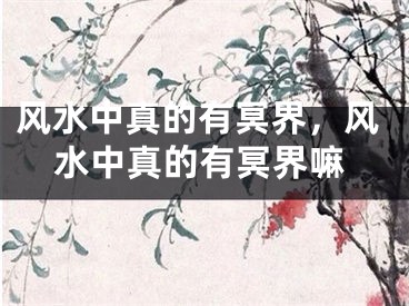 风水中真的有冥界，风水中真的有冥界嘛