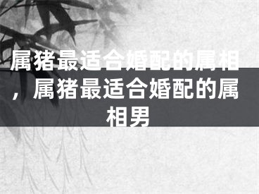 属猪最适合婚配的属相，属猪最适合婚配的属相男