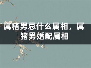 属猪男忌什么属相，属猪男婚配属相