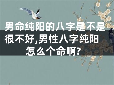男命纯阳的八字是不是很不好,男性八字纯阳怎么个命啊?