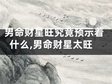 男命财星旺究竟预示着什么,男命财星太旺