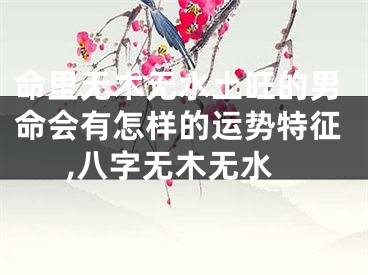 命里无木无水土旺的男命会有怎样的运势特征,八字无木无水