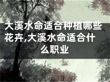 大溪水命适合种植哪些花卉,大溪水命适合什么职业