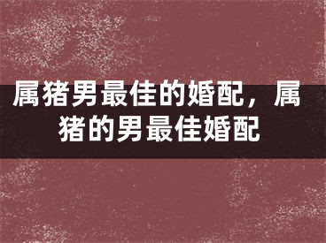 属猪男最佳的婚配，属猪的男最佳婚配