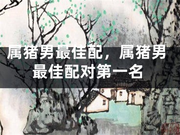 属猪男最佳配，属猪男最佳配对第一名