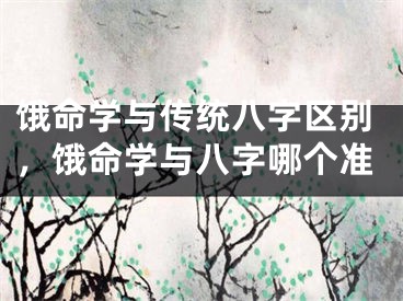饿命学与传统八字区别，饿命学与八字哪个准