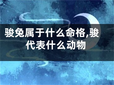 骏兔属于什么命格,骏代表什么动物