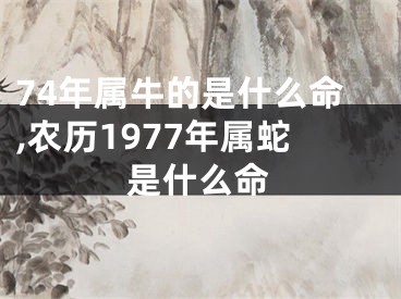 74年属牛的是什么命,农历1977年属蛇是什么命