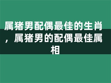属猪男配偶最佳的生肖，属猪男的配偶最佳属相