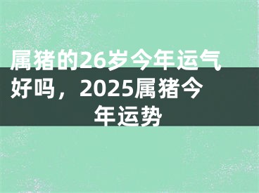 属猪的26岁今年运气好吗，2025属猪今年运势