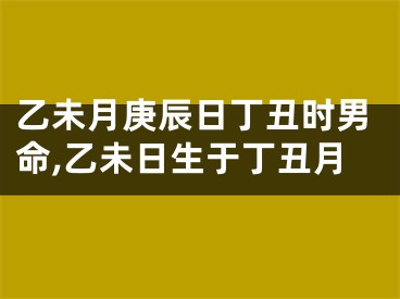 乙未月庚辰日丁丑时男命,乙未日生于丁丑月