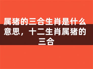 属猪的三合生肖是什么意思，十二生肖属猪的三合