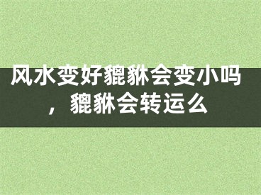 风水变好貔貅会变小吗，貔貅会转运么
