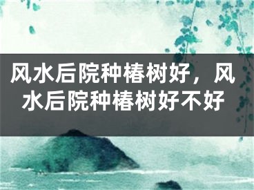 风水后院种椿树好，风水后院种椿树好不好