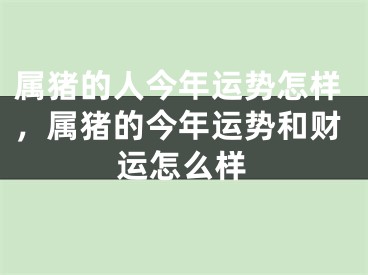属猪的人今年运势怎样，属猪的今年运势和财运怎么样