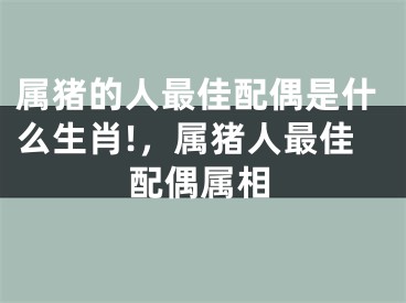 属猪的人最佳配偶是什么生肖!，属猪人最佳配偶属相