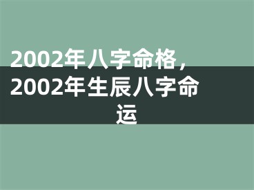2002年八字命格，2002年生辰八字命运