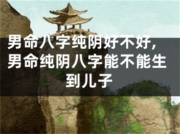 男命八字纯阴好不好,男命纯阴八字能不能生到儿子