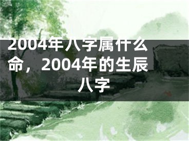 2004年八字属什么命，2004年的生辰八字