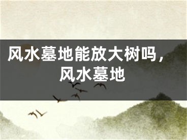 风水墓地能放大树吗，风水墓地
