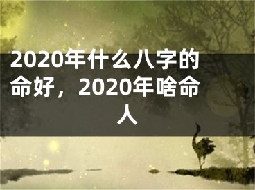 2020年什么八字的命好，2020年啥命人