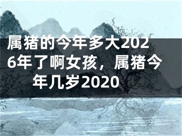 属猪的今年多大2026年了啊女孩，属猪今年几岁2020