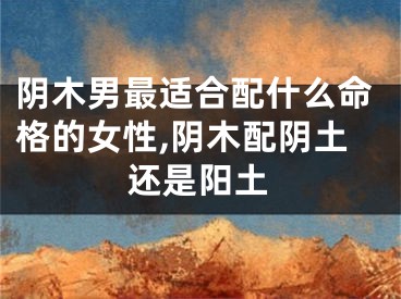 阴木男最适合配什么命格的女性,阴木配阴土还是阳土