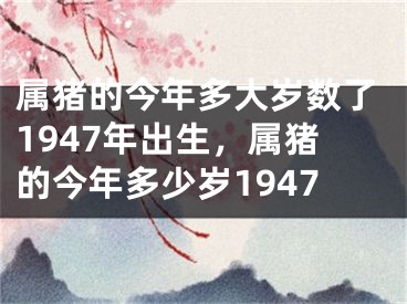 属猪的今年多大岁数了1947年出生,属猪的今年多少岁1947