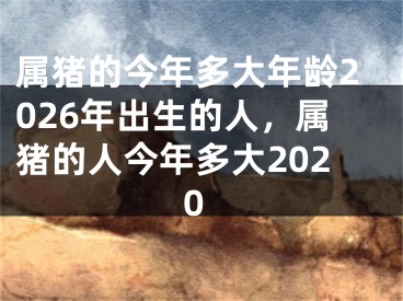 属猪的今年多大年龄2026年出生的人，属猪的人今年多大2020
