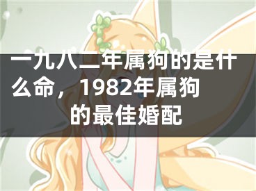 一九八二年属狗的是什么命，1982年属狗的最佳婚配