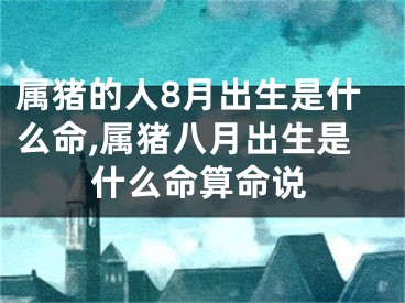 属猪的人8月出生是什么命,属猪八月出生是什么命算命说
