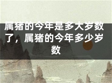 属猪的今年是多大岁数了，属猪的今年多少岁数