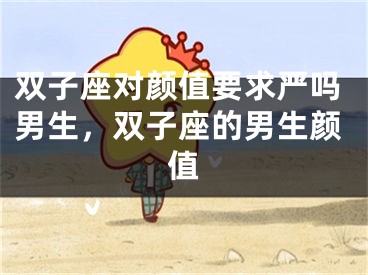 双子座对颜值要求严吗男生,双子座的男生颜值