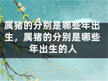 属猪的分别是哪些年出生，属猪的分别是哪些年出生的人