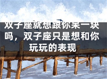 双子座就想跟你呆一块吗，双子座只是想和你玩玩的表现