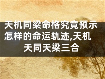 天机同梁命格究竟预示怎样的命运轨迹,天机天同天梁三合