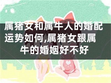 属猪女和属牛人的婚配运势如何,属猪女跟属牛的婚姻好不好