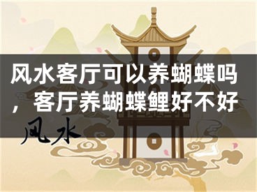 风水客厅可以养蝴蝶吗，客厅养蝴蝶鲤好不好