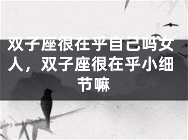 双子座很在乎自己吗女人，双子座很在乎小细节嘛