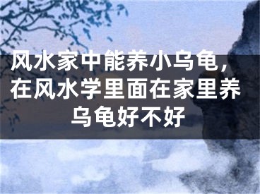 风水家中能养小乌龟，在风水学里面在家里养乌龟好不好