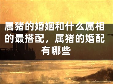 属猪的婚姻和什么属相的最搭配,属猪的婚配有哪些