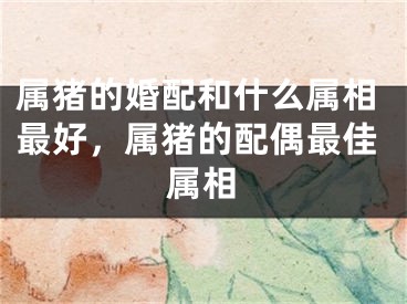 属猪的婚配和什么属相最好，属猪的配偶最佳属相