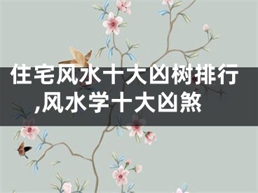 住宅风水十大凶树排行,风水学十大凶煞