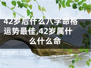 42岁后什么八字命格运势最佳,42岁属什么什么命