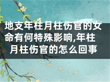 地支年柱月柱伤官的女命有何特殊影响,年柱月柱伤官的怎么回事