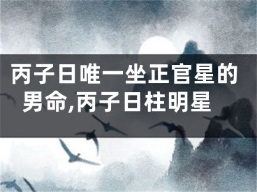 丙子日唯一坐正官星的男命,丙子日柱明星