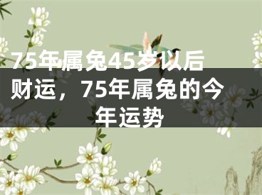 75年属兔45岁以后财运，75年属兔的今年运势
