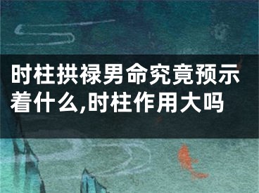 时柱拱禄男命究竟预示着什么,时柱作用大吗